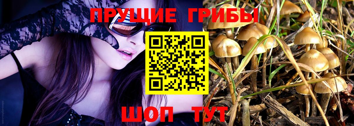 Сердобск  Галлюциногенные грибы MAGIC MUSHROOMS  Галлюциногенные грибы Magic Shrooms  Вход с VPN 